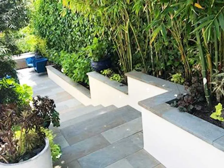 Outdoor garden area with stone pathway and raised planters filled with green plants and bamboo.